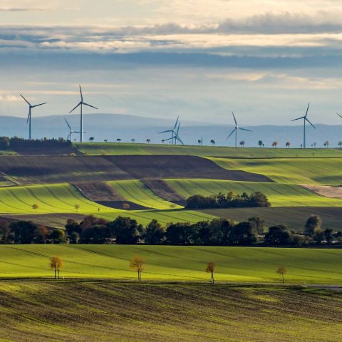 Literarische Landsichten