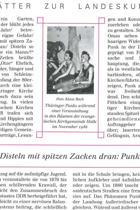 100 - Disteln mit spitzen Zacken dran: Punk