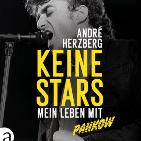 André Herzberg: Keine Stars. Mein Leben mit PANKOW