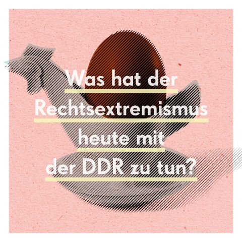 „Was hat der Rechtsextremismus heute mit der DDR zu tun?  Summer Talk mit David Begrich, Miteinander e.V.