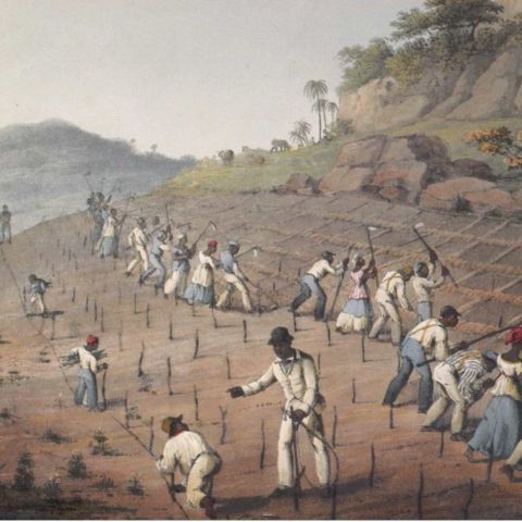 Sklaverei und Widerstand in Amerika